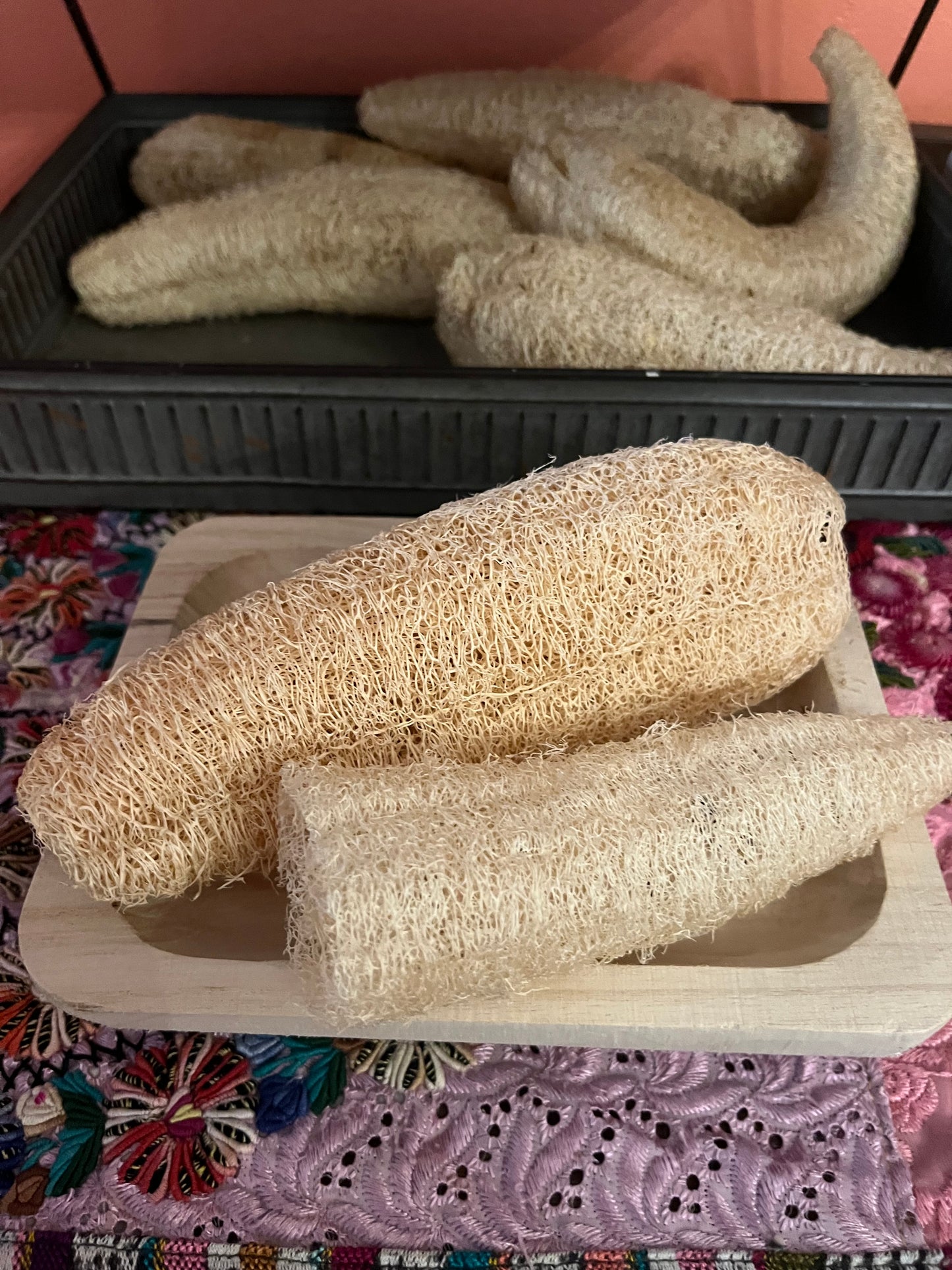 Home grown loofah